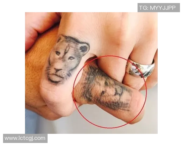 足球明星纹身狮子图鉴揭示他们的个性与力量之源 足球明星纹身狮子图鉴揭示他们的个性与力量之源